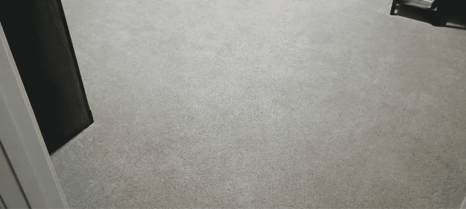 Pet Odor & Stain Removal