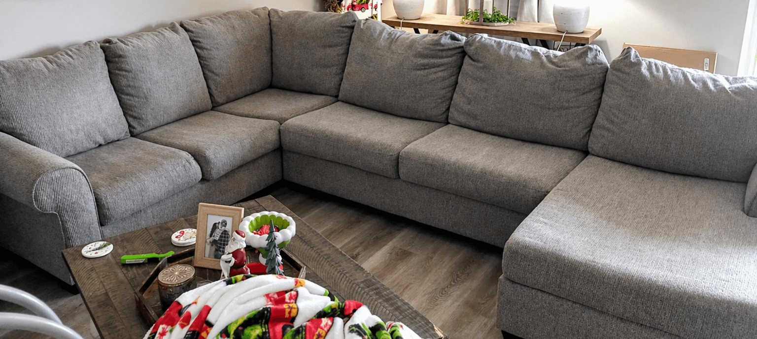 Upholstery Cleaning