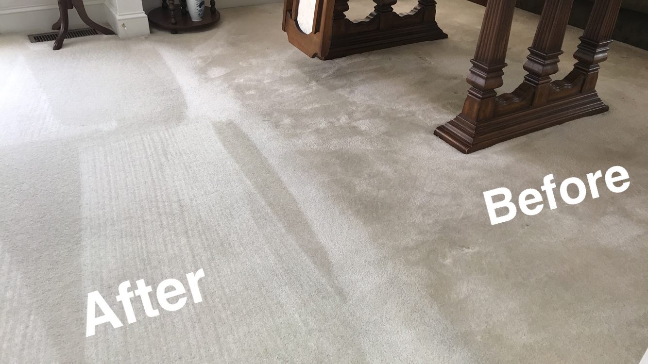 Reliable Carpet Cleaning Service Near Me - Same Day Service- 1 Trusted